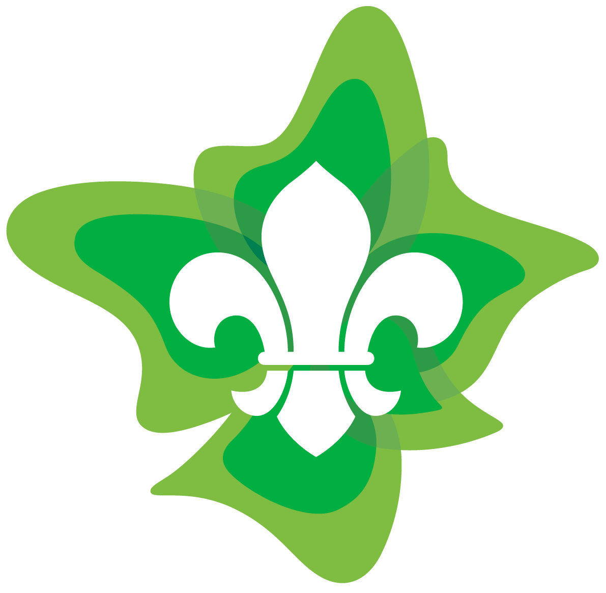 Scouts